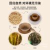 Factory Direct Sales Disposable Rice Husk Tableware Four-Piece Set Camping Style Biodegradable Restaurant Thickened Set