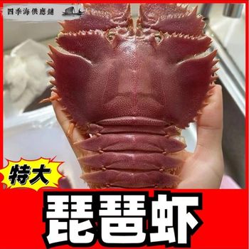 202 Deep Sea Pipa Shrimp Fresh Low Temperature Sea Fishing Seafood Wholesale Fresh Crawfish Sweet Shrimp Red Devil Shrimp Rhino