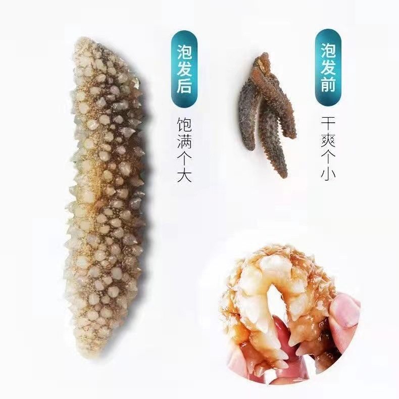 Natural Wild Deep Sea Popular Indonesian Small Black Sea Cucumber Light Dried 500g Sea Cucumber Dry Goods Soaked in Large Seafood