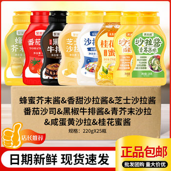 Salad Sauce Sweet Western-Style Sushi Baked Sandwich Burger Special Fruit Meat Floss Scallop Cheese Sauce for Home Use