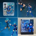 Shf charlotte