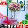 seller product image