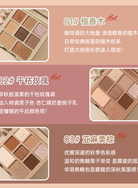 国货彩妆NOVO新款八色眼影盘哑光大地色光腮红修容提亮鼻影平价