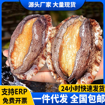 Abalone Meat, Shelled and Gutted, Frozen Fresh Large Abalone, Fresh Abalone Ingredients for Seafood Barbecue and Soup, Commercial Use