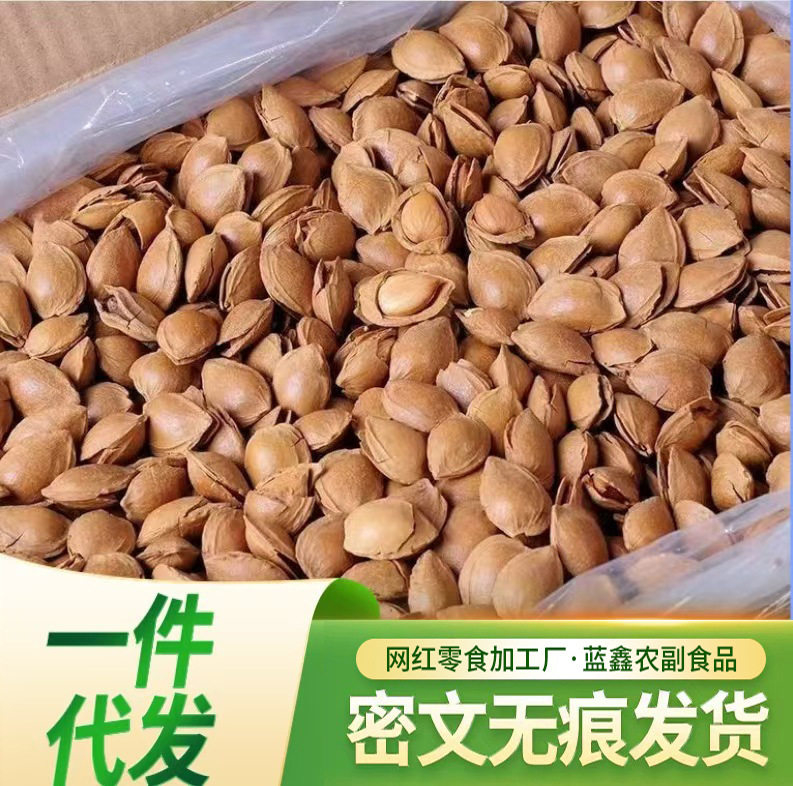 Wholesale Small White Apricot Kernels, Almond Kernels, Small Ginkgo Nuts, Casual Snacks, Roasted Seeds, Original Flavor Nuts, Bulk Hand-Peeled Thin Shells