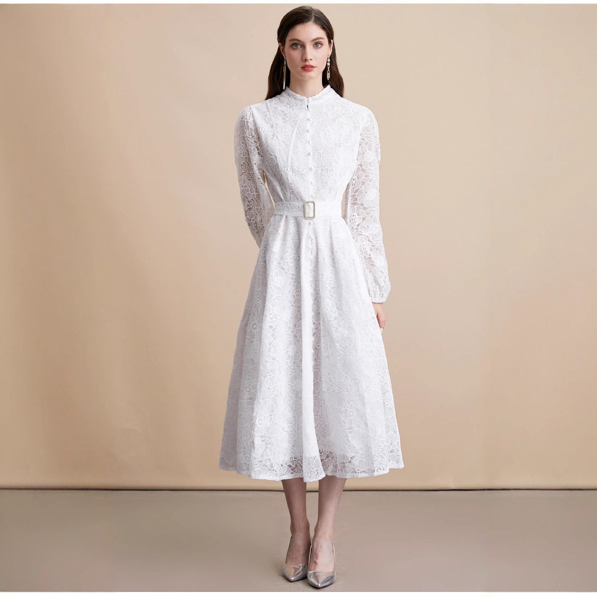 Elegant French Style Lace Embroidered Dress Stand Collar Button Closure Waist Defined Flared Skirt Autumn Fashion