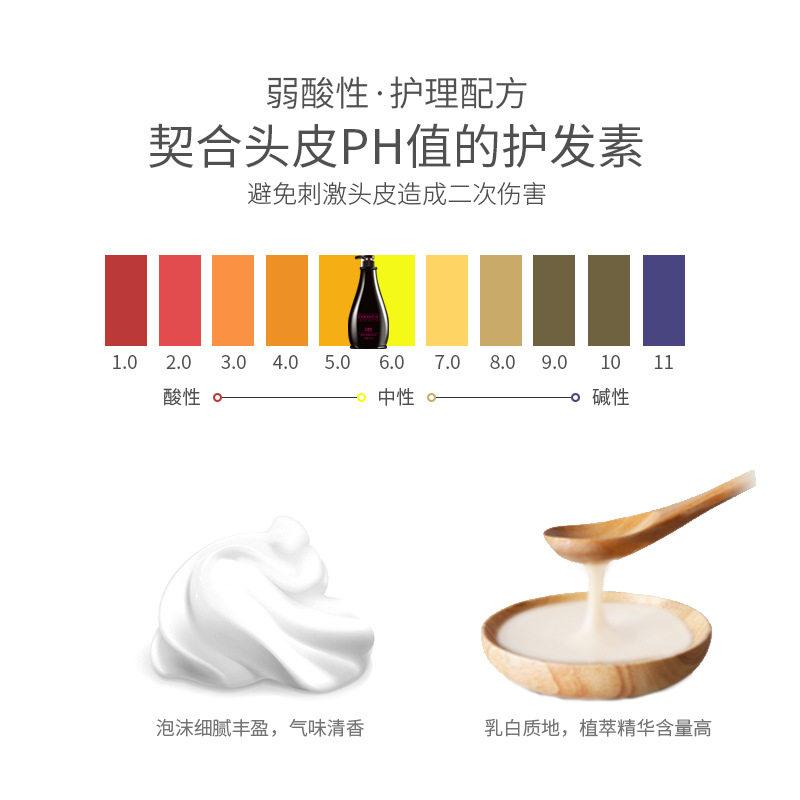 Coco Perfume Shampoo, Conditioner, Shower Gel Set, Anti-Dandruff, Anti-Itch, Oil-Control Shampoo, Authentic Fragrance