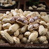 Longyan Specialty White Sun-Dried Peanuts, Soft and Glutinous, with Shells, Roasted Snacks, Perfect as a Side Dish with Alcohol, Freshly Made