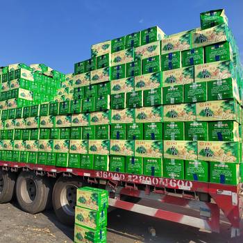 Paper walnut Xinjiang 185 walnut wholesale thin peel open this year's new dried fruit nut snack wholesale