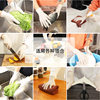 Disposable gloves food grade durable beauty latex rubber gloves household experiment repair workshop factory wholesale