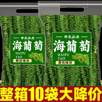 Sea Grapes Fresh Ready-To-Eat Salted Kelp Fresh Marine Vegetables Green Caviar Seaweed Vegetables with Mustard 500g