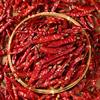 Devil's Pepper Dried Chili Super Spicy Extra Hot Extra Fragrant Authentic Dried Chili Powder Chili Pepper Local Chili