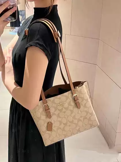 Ole 2024 New Mollie25 Fragrant Braytote Bag Zipper Commuter Portable Shoulder Crossbody Women