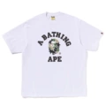 1343 white