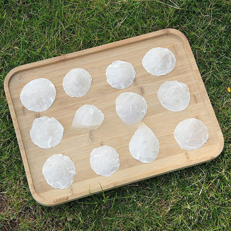 Natural Shell Accessories Wind Chime Wedding Popular Natural Diydiy Kindergarten Decoration Popular Wind Chime Free Shipping Wholesale