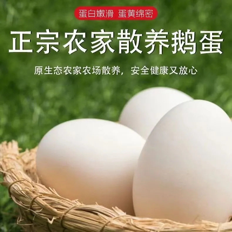 Farmhouse Goose Eggs, 6 Pieces, 80-100g, Fresh Eggs on the Day, Free-Range Goose Eggs, Great for Removing Toxins, Fresh for Pregnant Women