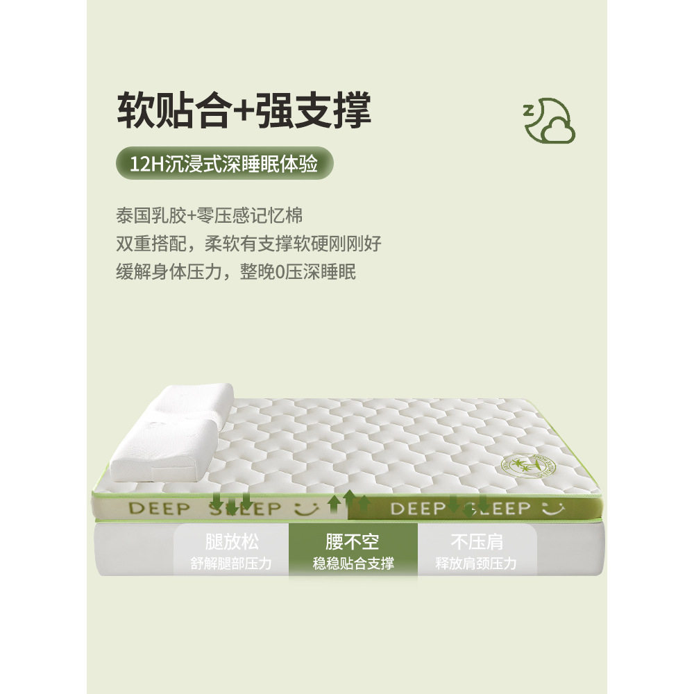 Latex Memory Foam Mattress Cover Home Cushion Bedroom Dormitory Student Single and Double Tatami Sponge Mat