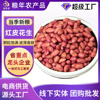 Red Peanut Fresh Bag Farm Dried Four Peanut Kernel Grain Cereals Shelled Red Peanut