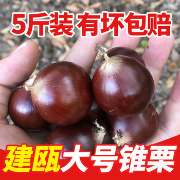 Fresh Wild Chestnuts from Jian'Ou, Including Round Chestnuts, Hairy Chestnuts, Pointed Chestnuts, and Oil Chestnuts, Farm-Picked, 2.5kg Pieces