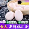Pigeon Eggs, 15-60 Free-Range Pigeon Eggs Gift Box for Pregnant Women, Farm Fresh Large High-Quality 60 Eggs for Consumption