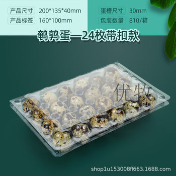 24 Pieces Plastic Quail Egg Tray Transparent Packaging Box Thickeneded Buckle 30/12/20 Pieces Free Shipping Wholesale Thickeneding