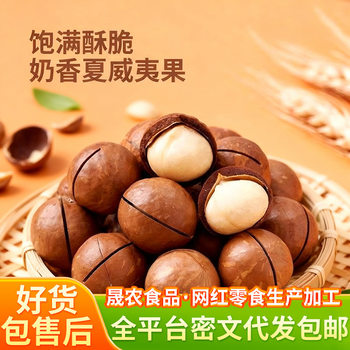 Wholesale Macadamia Nuts Snacks Creamy Flavor Bulk with Shell Open Ready to Peel 500g