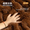 Light Luxury High-End Thick Plush Sofa Cover Cloth 2026 New Autumn and Winter Full Cover Seat Cushion Non-Slip Cover