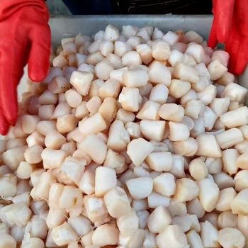 Scallop Columns, Fresh Frozen Scallops and Ding Yuanbao [Love Fish Full Cabin Dropshipping Live Broadcast]