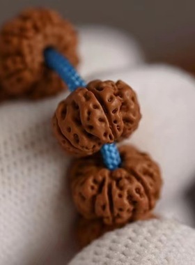 六瓣树王小金刚菩提子108颗手串南瓜矮桩满肉沉水级文玩佛珠念珠