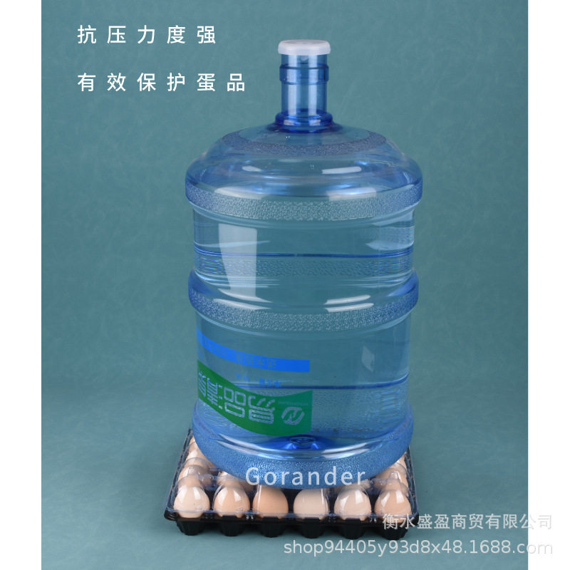 Plastic Egg Tray for 20 Eggs, Separated Type, Medium Size, Black Base, Transparent Lid, Thickened, Colorful Egg Packaging Box, Wholesale Price