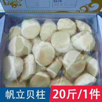 Scallop Large Scallop Meat Sashimi Barbecue Scallop Meat Frozen Scallop Seafood Aquatic Ingredients 10kg Commercial