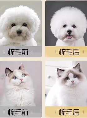 宠物迷你针梳狗梳子拉毛开结回弹气垫去浮毛小型犬泰迪比熊梳子