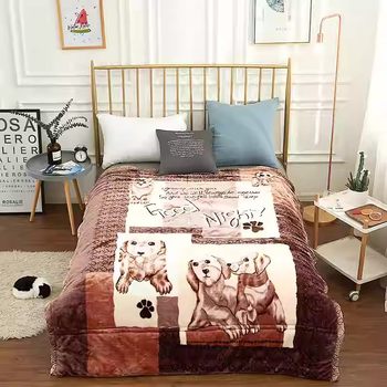 Wholesale Winter Double-Layer Cotton-Padded Raschel Blankets, Thick Embossed Throw Blankets, Cotton-Padded Warm Fleece Blankets with a Quilted Top