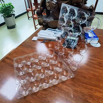 Factory Direct Supply of Duck Eggs, 25-Piece Blister Trays, Egg Trays, Luo Han Guo Blister Trays and Other Egg Blister Trays