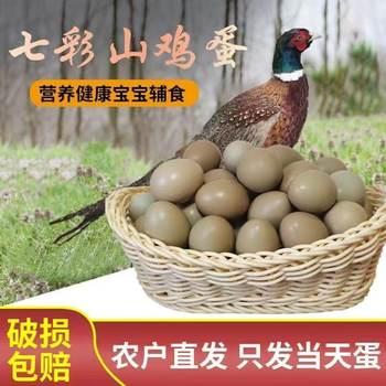 Fresh Farm-Raised Free-Range Colorful Mountain Eggs, Wholesale Eggs from the Same Province, Whole Box of Free-Range Eggs