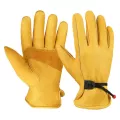 1004 Yellow