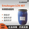 Clerien LCN407 Polymeric Non-ionic Emulsifier Waterborne Coatings Color Paste Pigment Wetting Agent Surfactant