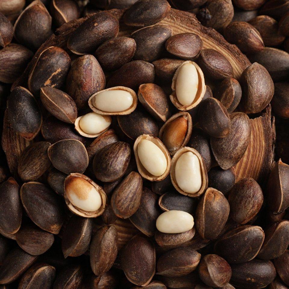 2024 Raw Pine Nuts Yunnan Pine Nuts Wholesale Wild Thin-Shell Wet Pine Nuts Without Opening Original Nut Snacks