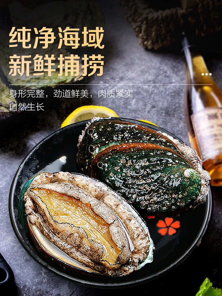 Fresh Abalone, Fresh Seafood, Water Produces Fresh Extra Large Heated Ready-To-Eat Dried Small Abalone Sauce Rice Wholesale