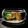 Office fish tank glass turtle cylinder drum cylinder transparent hydroponic plant copper grass green radish living room desktop round