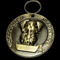 Schnare