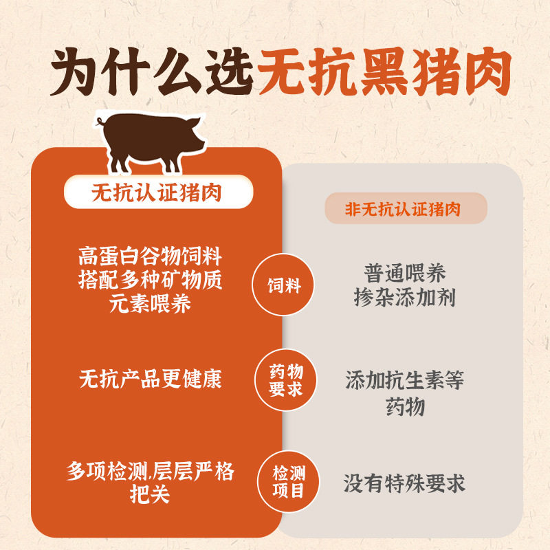 Jiayi Black Pork Fresh Meat Xiaolongbao Convenient Instant Kidsren's Adult Family Breakfast Buns Frozen Semi-Finished Products