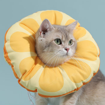 Cat Elizabeth Circles Kitten Anti-Licking and Biting Shame Collar Headgear Dog Collar Sterile Collar Pet Accessories