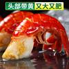 Commercial Lobster Tail Without Ice, Large Shrimp Tail Without Ice, Large Yellow Crayfish, Frozen Sf Free Shipping