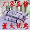 Student Brushed Pillowcase Enlarged 48*78cm Skin-Friendly Breathable Pillowcase Adult Single Pillowcase Manufacturer Wholesale