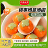 Yuanxiao Tangyuan Shishi Ruyi Tangyuan 300g Wholesale Semi-Finished Quick-Frozen Glutinous Rice Yuanxiao Tangyuan Sf Free Shipping