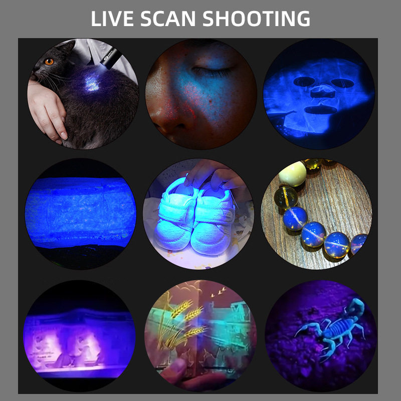 Wood's Lamp for Detecting Cat's Eye Fungus, Urine Fungus, and Fungi; Ultraviolet Flashlight, Fluorescent Agent, Purple Light for Currency Detection, Vegetable Lamp