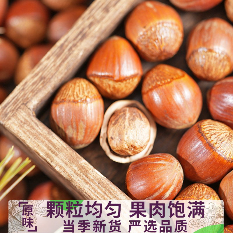 Large Hazelnuts Northeast Specialty Roasted Original Flavor New Non-Wild Hazelnuts Fresh Nut Snacks 500g