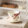 кофейная чашка ins wind bow coffee cup изготовленная на заказ в подглазурном цвете, расписанная вручную красная керамическая чашка и блюдце, набор бытовых чашек для латте mini 7