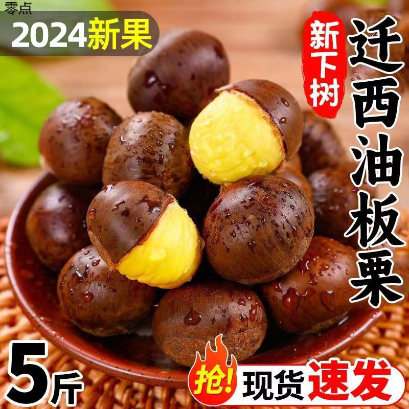 Authentic Wild Hebei Qianxi Oil Chestnuts 5/ 15.5kg Fresh Chestnuts Ready-To-Eat Raw Chestnuts Wholesale Price Non-Cone Chestnuts